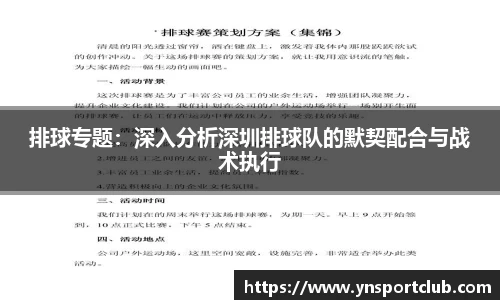 排球专题：深入分析深圳排球队的默契配合与战术执行