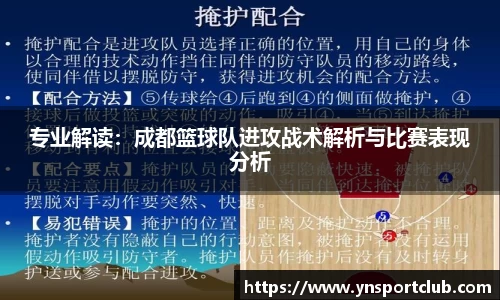 专业解读：成都篮球队进攻战术解析与比赛表现分析