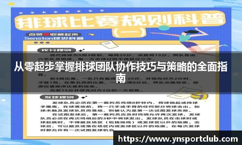 从零起步掌握排球团队协作技巧与策略的全面指南