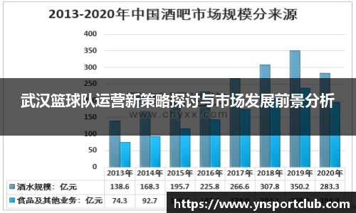 武汉篮球队运营新策略探讨与市场发展前景分析