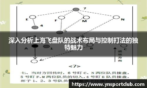 深入分析上海飞盘队的战术布局与控制打法的独特魅力